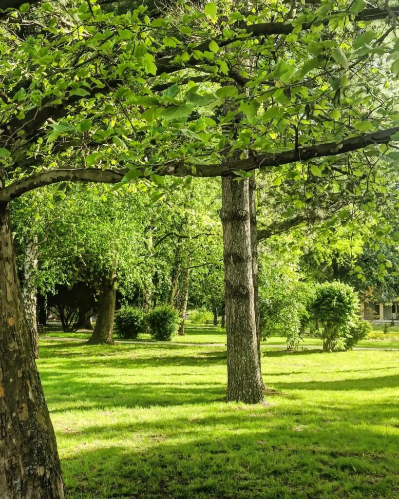 sokobanj-turistički potencijal