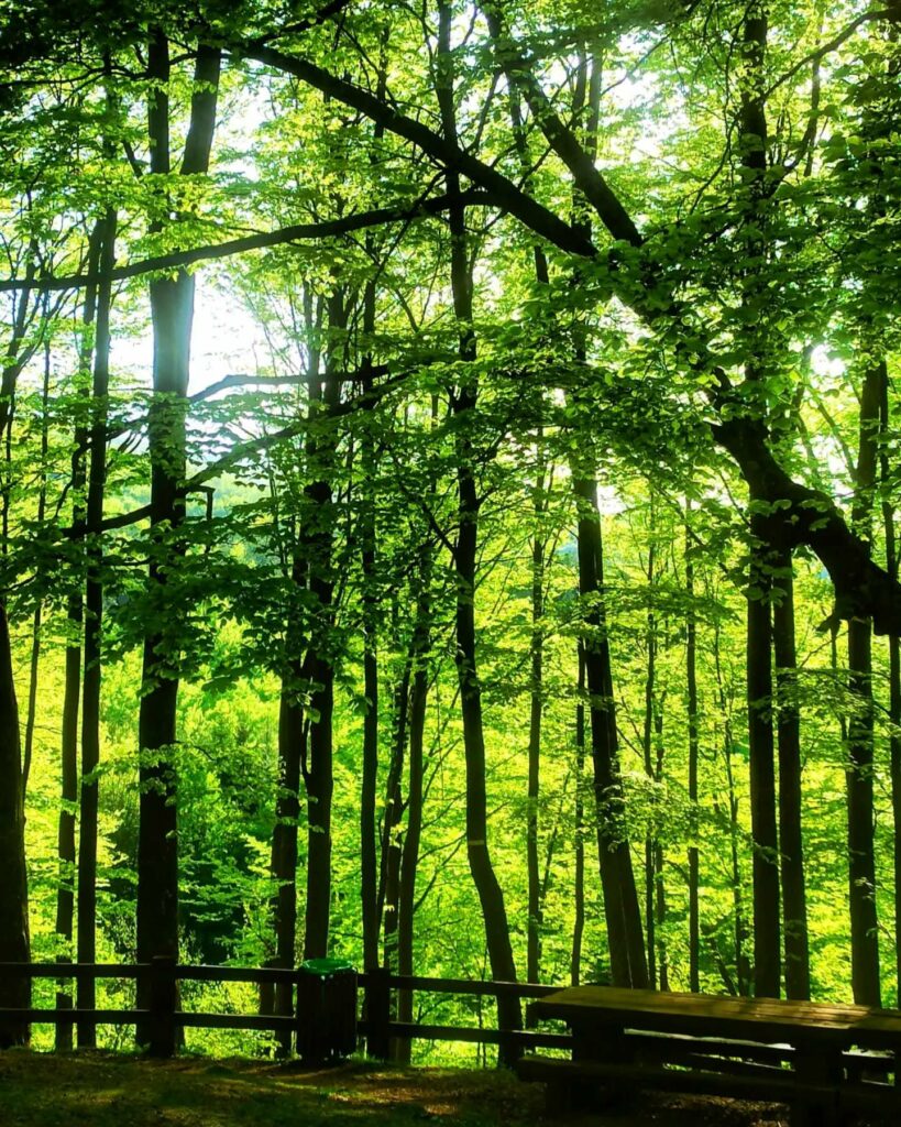 banja-turistički-potencijal