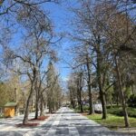 sokobanjska-promenada