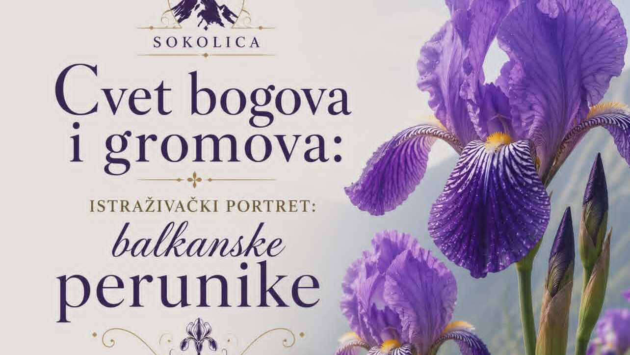 Perunika