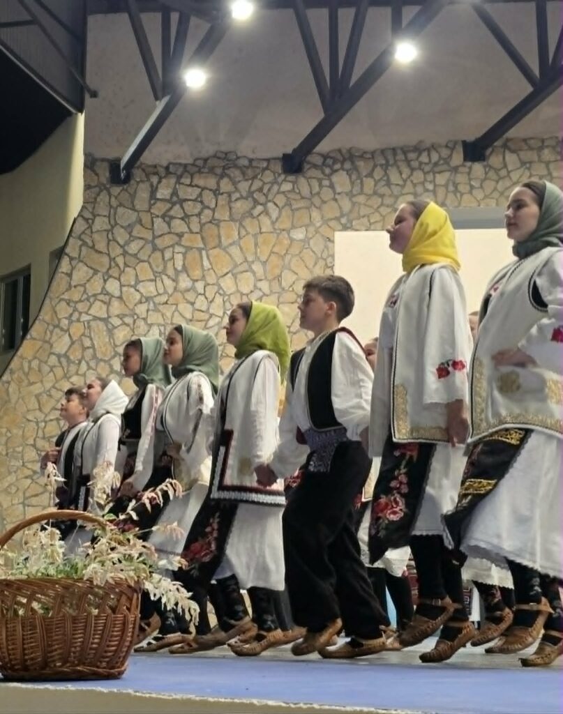 Sokolov let, humanitarni koncert