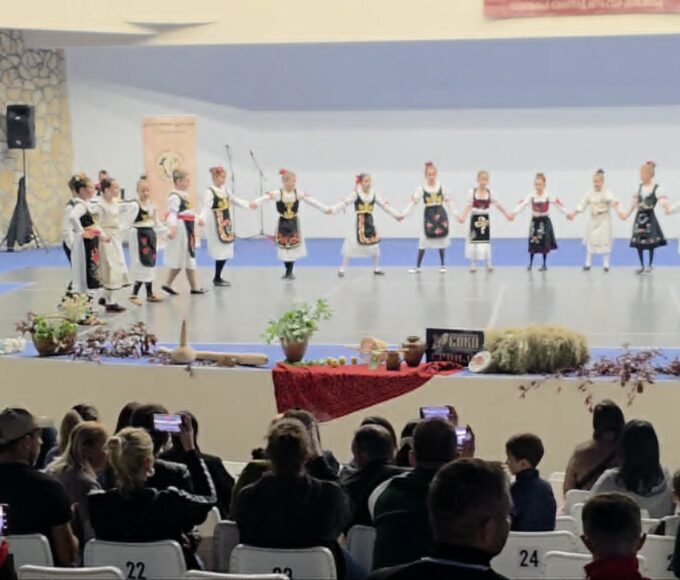 Sokolov let mlađi ansambl